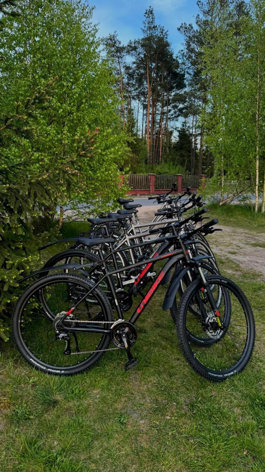 Domki Wypoczynkowe Las Sliwice Exterior photo